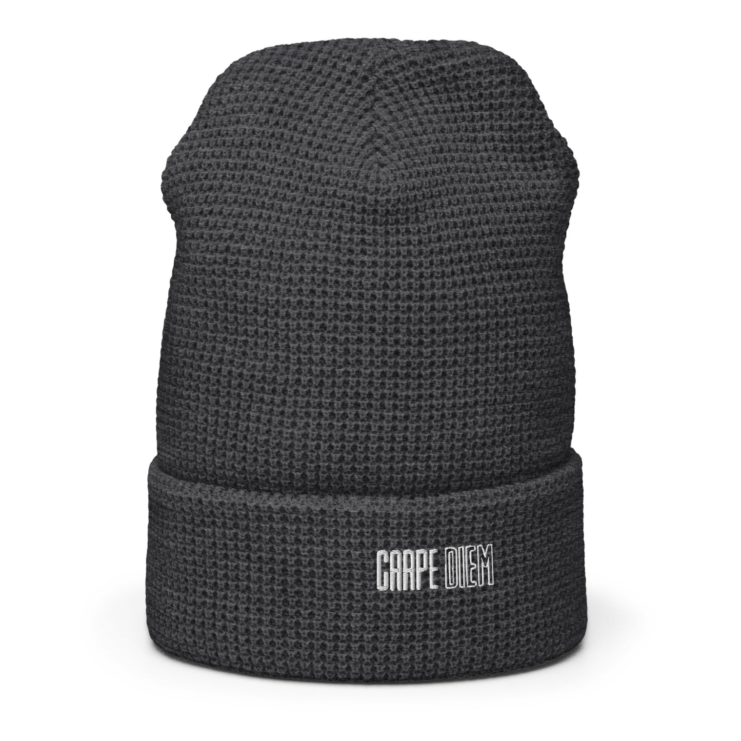 Carpe Diem Beanie