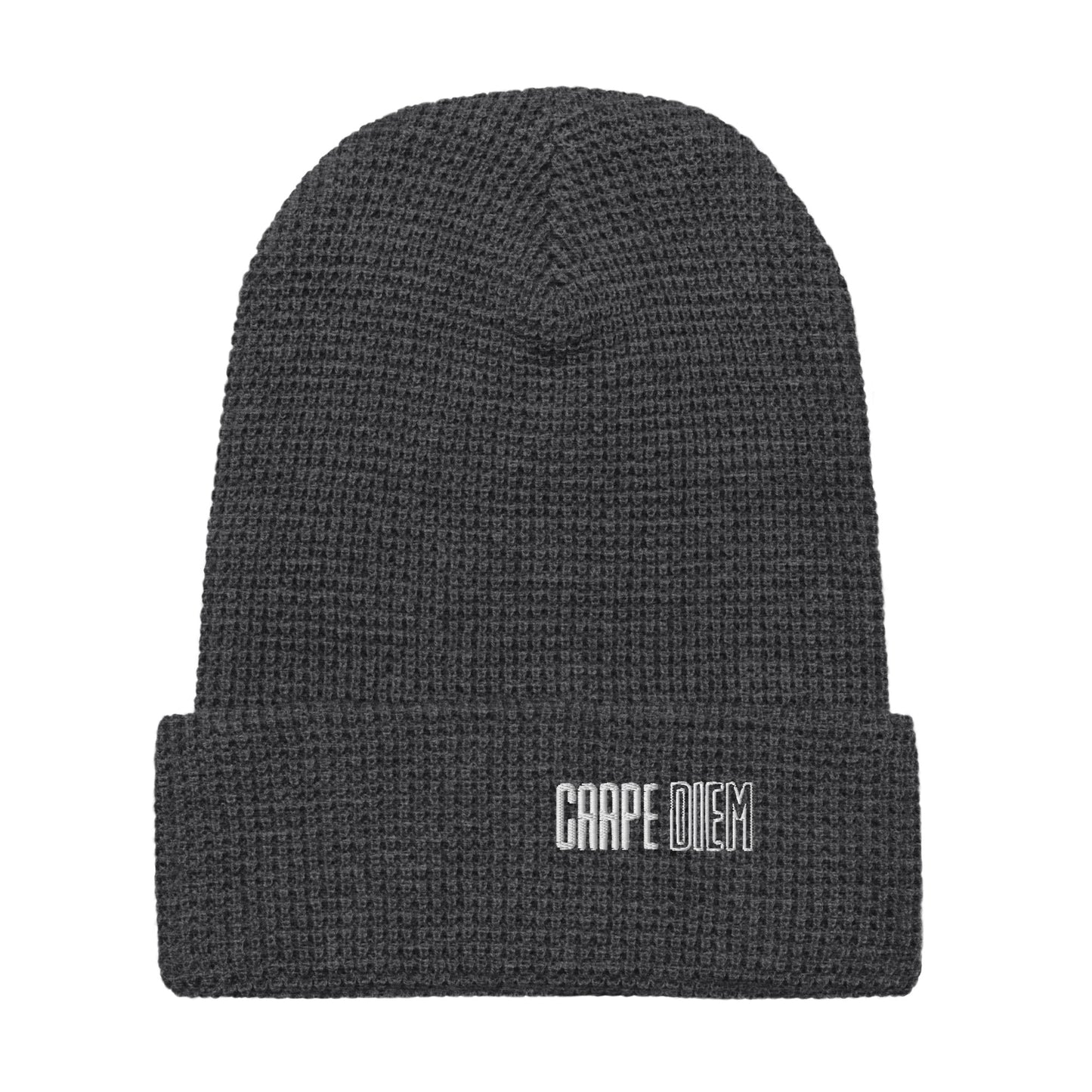 Carpe Diem Beanie